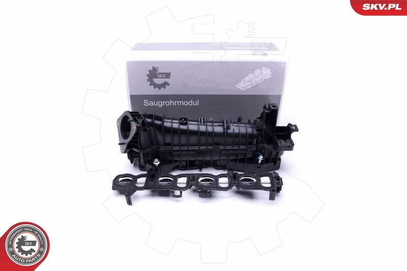 Intake Manifold Module